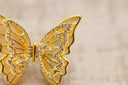 Golden Butterfly Crystal Brooch