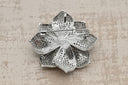 Radiant Pearl & Zirconia Sunburst Stud Earrings