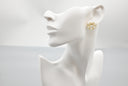 Radiant Sunburst Zircon Stud Earrings in Gold Finish