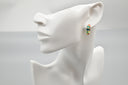Rainbow Enamel Hoops