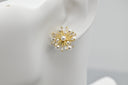 Celestial Pearl Burst Studs